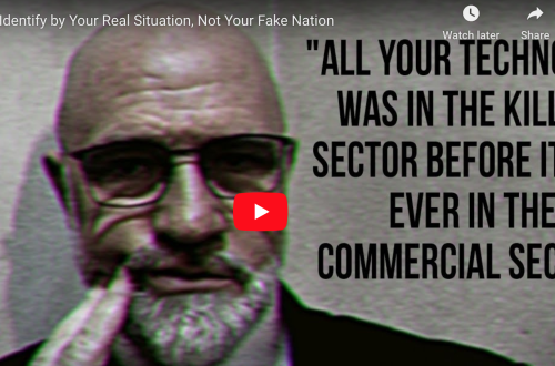Video cover: IDENTIFY YOUR REAL SITUATION posted to Alice Walkers Garden 2024 DEC